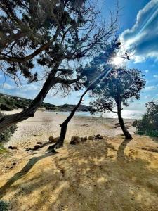 Prestigiosa Villa a Chia - Parcheggio riservato