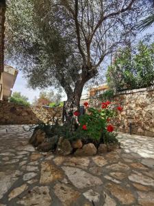 Prestigiosa Villa a Chia - Parcheggio riservato img56