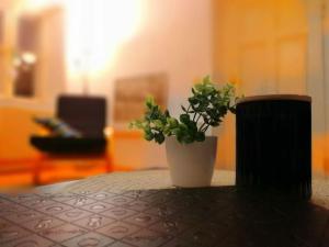 Gemütliche Landhauswohnung