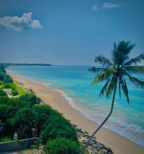 Sevenra Grand Beach Hotel