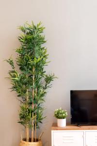 Lille Centre - Nice and functional ap.