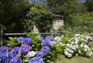 Agriturismo Rossolampone