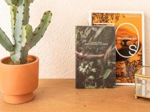 Centre - Le Phoenix - Cathédrale