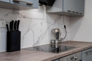 Stylish Apartment For up to 4 Guests With WiFi, Free Parking