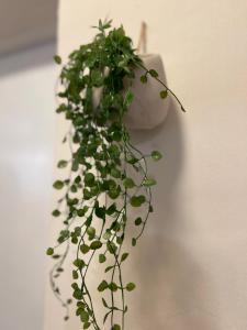 Pastel Apartment Tirana