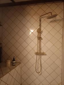 Appartements Entre Terre et Ciel. : photos des chambres