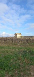 Appartements Studio i Languedoc. : photos des chambres