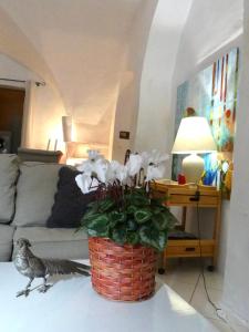 Appartements Studio i Languedoc. : photos des chambres