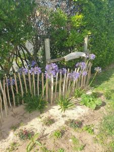 Maison de vacances : Bord de mer
