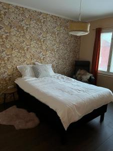 Beautiful Big Farm House with Spectacular Meteor Site View