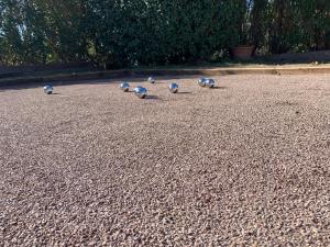 Villa Giovanna à Saint-Raphaël avec piscine chauffée