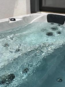 Maisons de vacances Lodge Valbelle, maison independante avec jacuzzi : photos des chambres