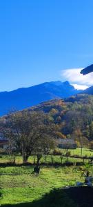 Maisons de vacances Le Clos Baroussais : photos des chambres