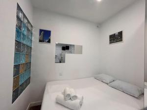 Centrally located flat in Madrid M80.8