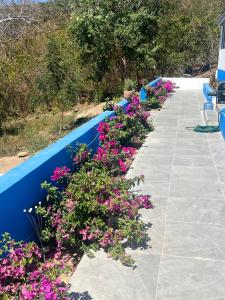 Valentina Salchi Suites - Pinky Promise