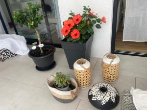 B&B / Chambres d'hotes Charmante dependance : photos des chambres