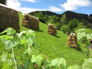 Heidis Schlummerkiste am Fuß der Teichalm