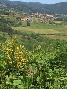 Gîte 6 pers. Lo Jaç de Foart