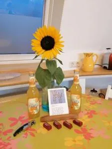 Sweet-home No. 1Ferienwohnung Apartment - 凯沃拉尔