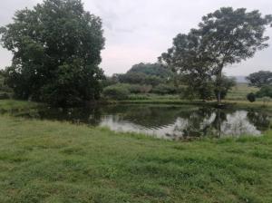 Casa con piscina privada y BBQ para Familias y parejas