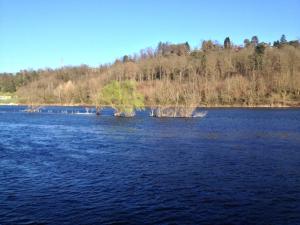 Il Fiume Azzurro Home B&B