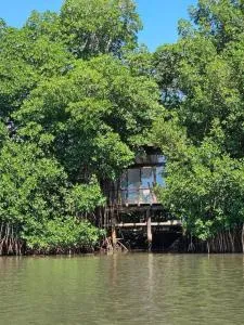 Willo's Treehouse - El Progreso