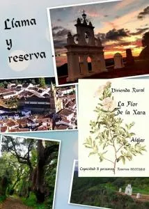 La Flor De La Xara - Alájar