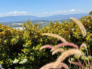 Olinda Cascade Waterfall Mountain View Retreat