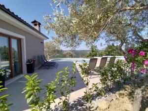 Modern villa with swimming pool and garden 