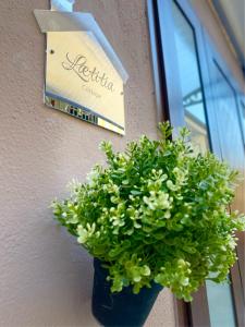 Lætitia Cottage Apartment