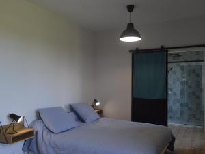 Maisons de vacances Gite Mers-sur-Indre, 5 pieces, 13 personnes - FR-1-591-166 : photos des chambres