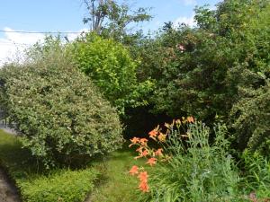 Maison de campagne calme avec jardin, proche du Zoo de Beauval et châteaux de la Loire - FR-1-591-84