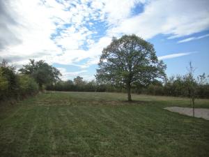 Ancienne ferme rénovée au cœur de la Vallée Noire avec jardin clos, vélos et équipements complets - FR-1-591-111