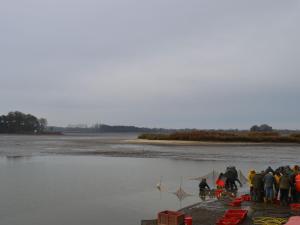 Gîtes Rénovés avec Piscine au Cœur de la Brenne – Proche Sites Naturels et Historiques - FR-1-591-327