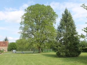 Maisons de vacances Gite Sarzay, 5 pieces, 12 personnes - FR-1-591-185 : photos des chambres