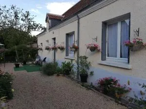 Maison avec jardin, Spa privatif à proximité de Beauval et Valençay - FR-1-591-345 - 谢尔河畔塞勒