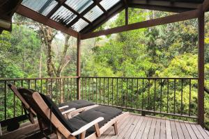 Kuranda Rainforest Chalet