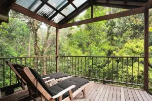 Kuranda Rainforest Chalet - Kuranda