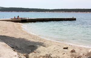 Family friendly apartments with a swimming pool Barbat, Rab - 22358 
