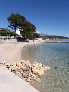 Family friendly apartments with a swimming pool Barbat, Rab - 22358 