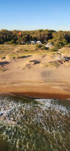 Big Bang Nature Stays