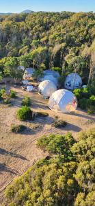 Big Bang Nature Stays