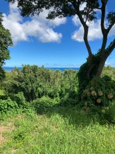 ocean villa mint 満天の星空とオーシャンビューで心満たす一棟まるごと貸切別荘 南房総千倉