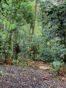 Campo Verde House, La Fortuna de San Carlos