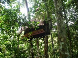 Reserva Natural Tanimboca