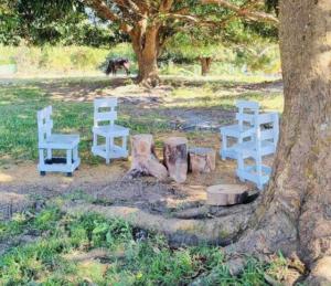 Dome tent in Elyu will Pool Access for 10 pax