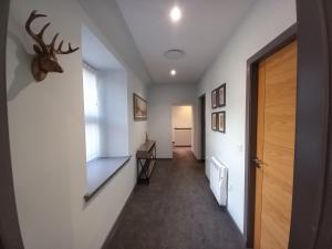 19a Francis Street