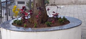 HillTop in greany meadows yercaud