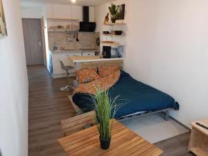 Appartements Poisson : photos des chambres