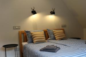 Ferienwohnungen und Gästezimmer Friedrichs